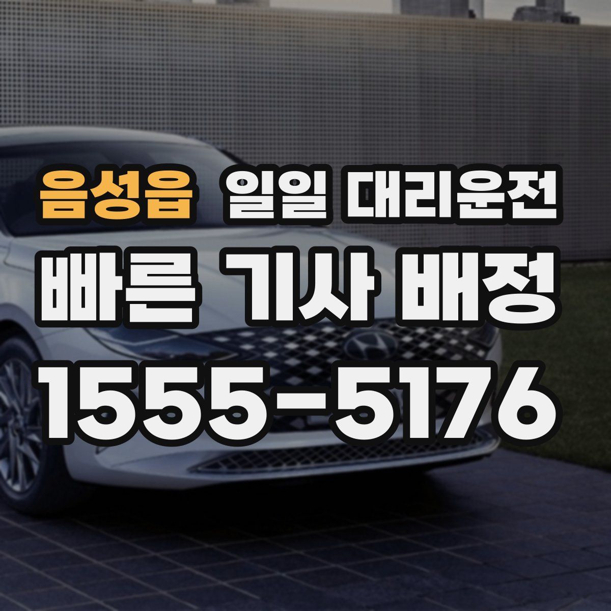 음성읍 일일 대리운전