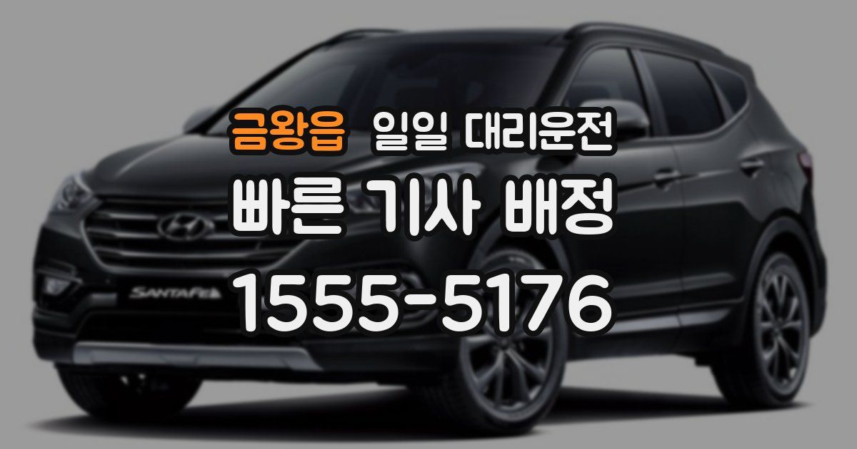 금왕읍 일일 대리운전