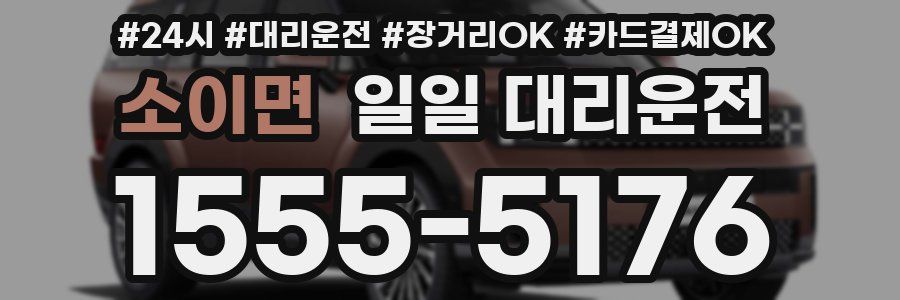 소이면 일일 대리운전
