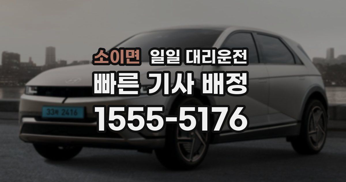 소이면 일일 대리운전