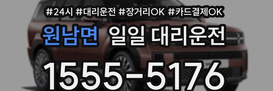 원남면 일일 대리운전