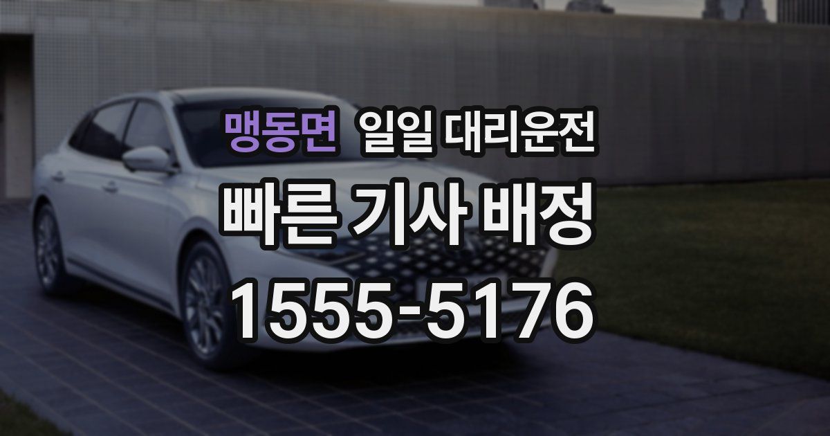 맹동면 일일 대리운전