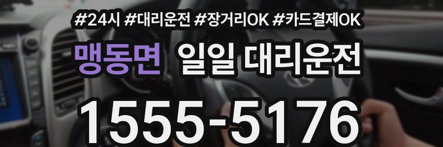 맹동면 일일 대리운전