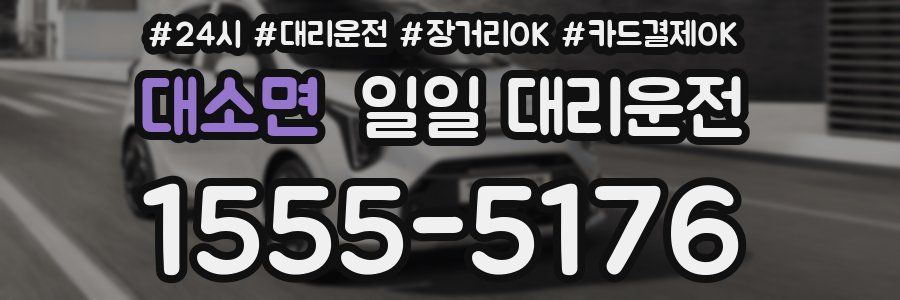 대소면 일일 대리운전