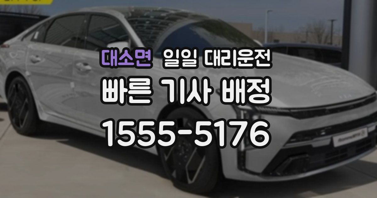 대소면 일일 대리운전