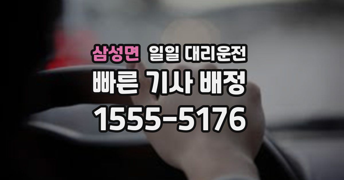 삼성면 일일 대리운전