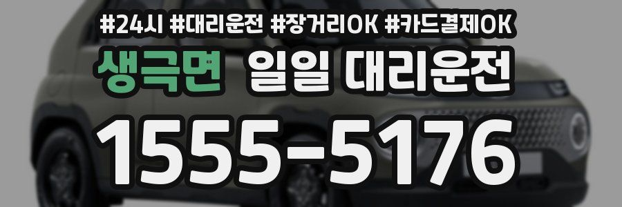 생극면 일일 대리운전