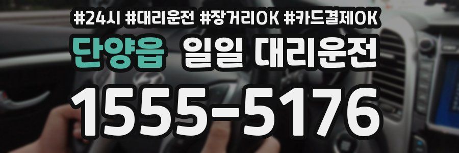단양읍 일일 대리운전
