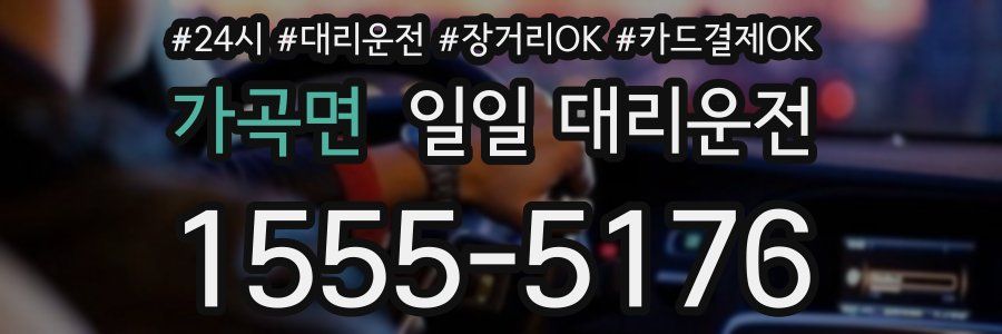 가곡면 일일 대리운전
