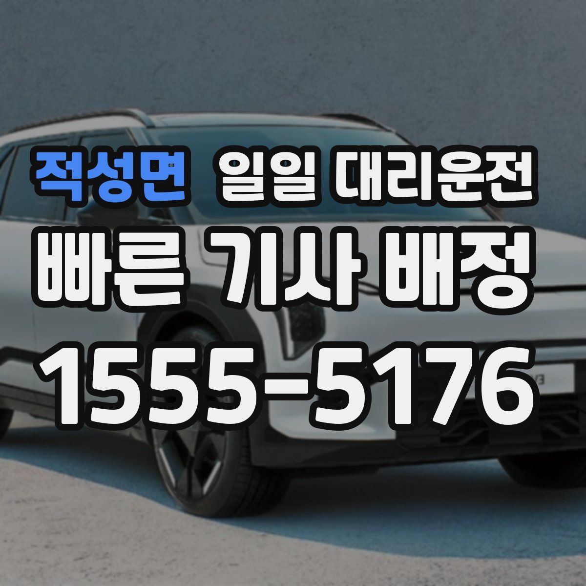 적성면 일일 대리운전