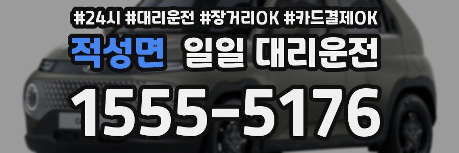 적성면 일일 대리운전