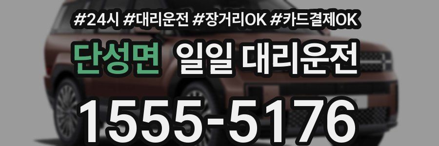 단성면 일일 대리운전