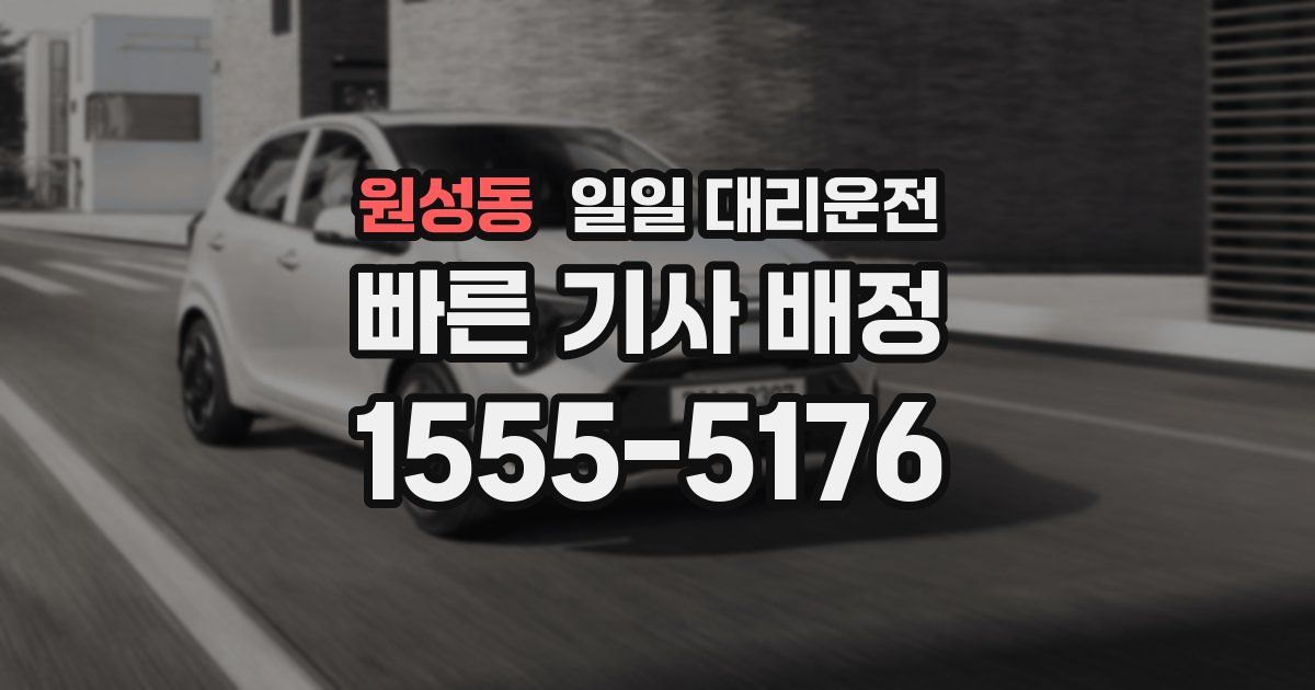 원성동 일일 대리운전