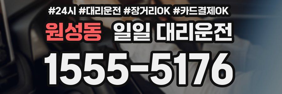 원성동 일일 대리운전