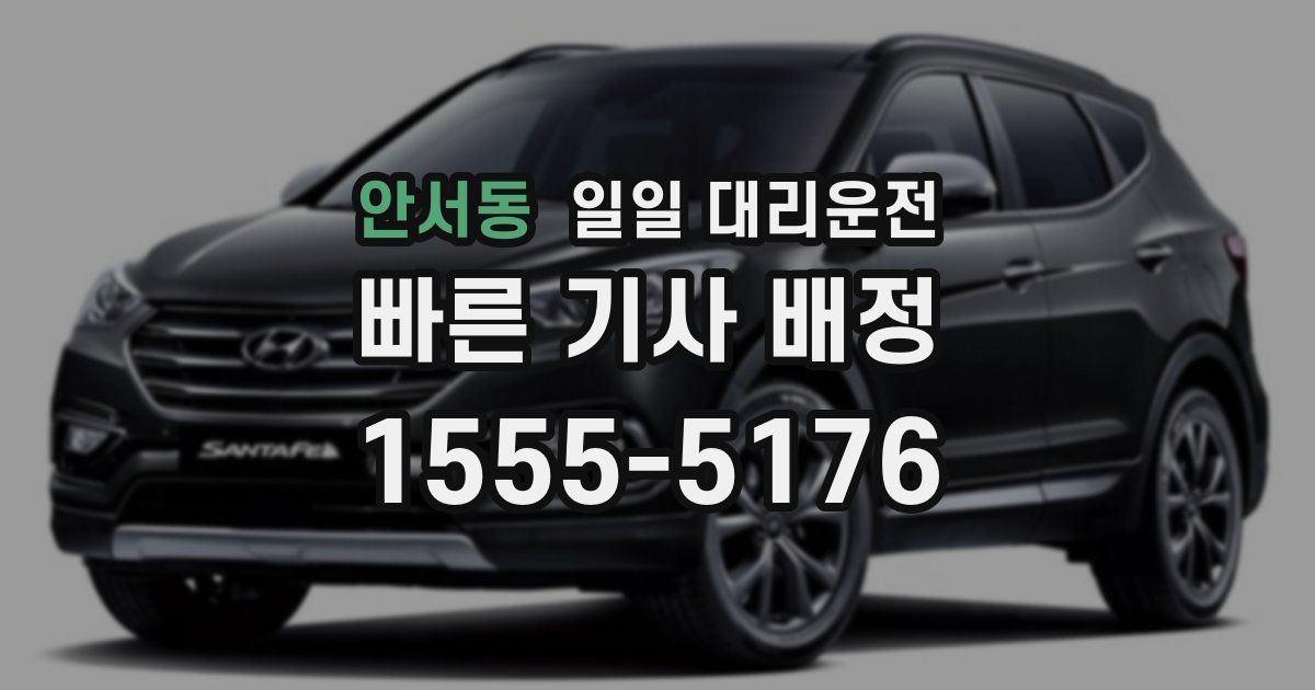 안서동 일일 대리운전