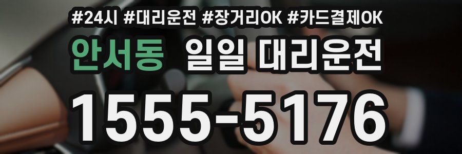 안서동 일일 대리운전