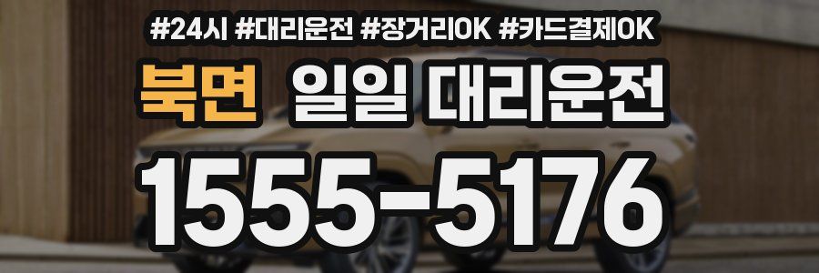 북면 일일 대리운전