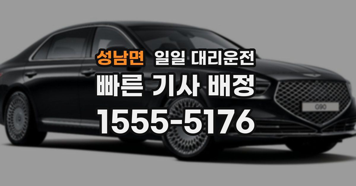 성남면 일일 대리운전