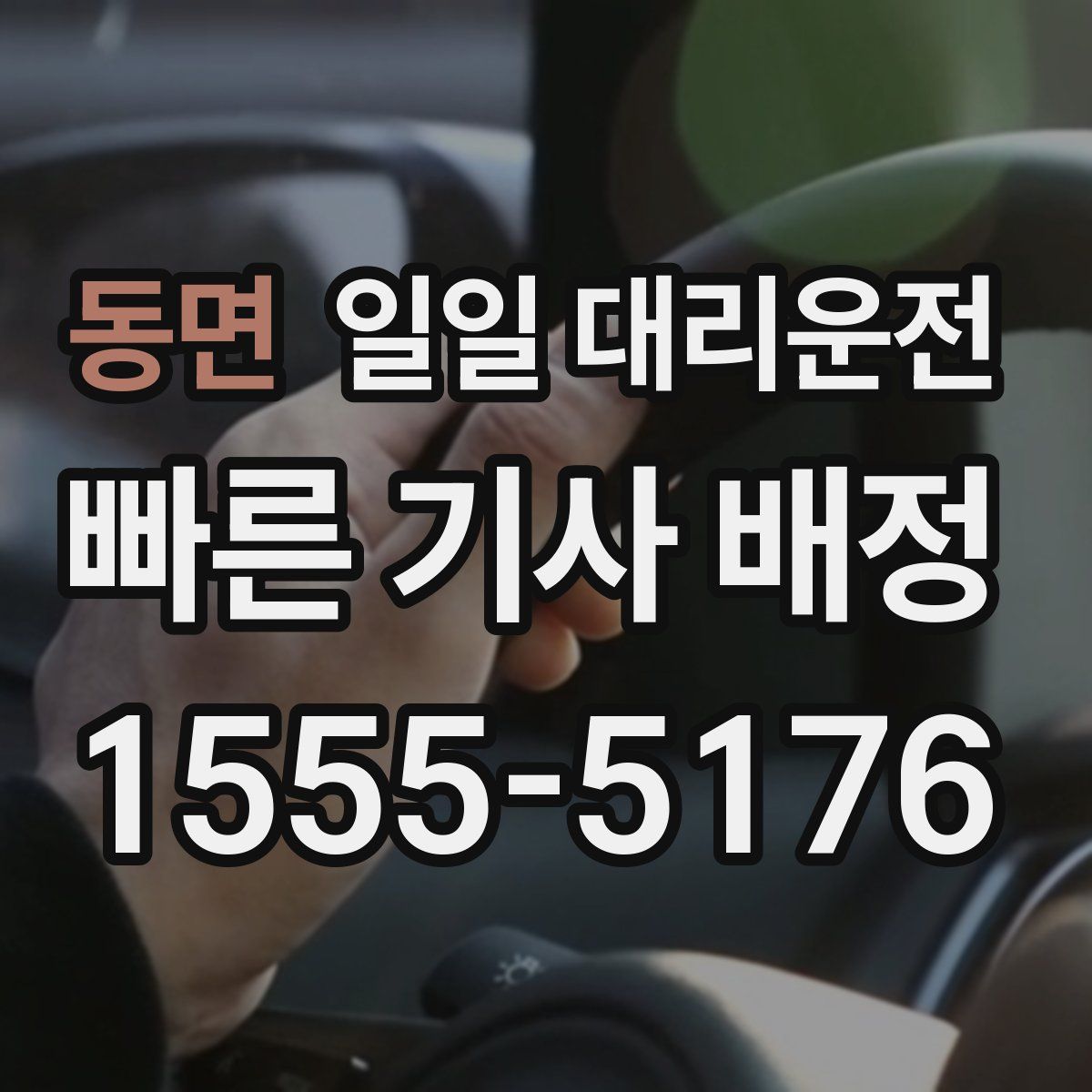 동면 일일 대리운전