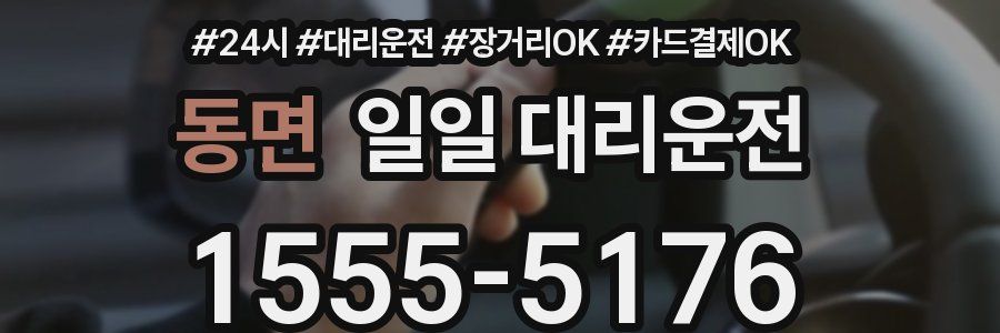 동면 일일 대리운전