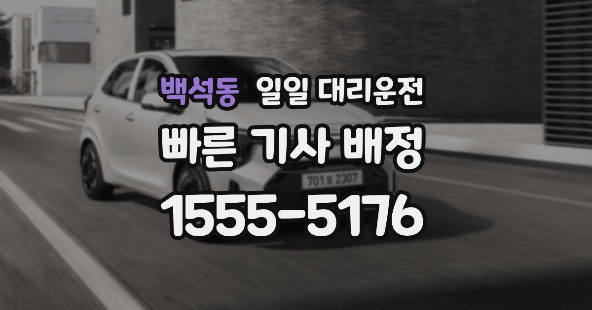 백석동 일일 대리운전