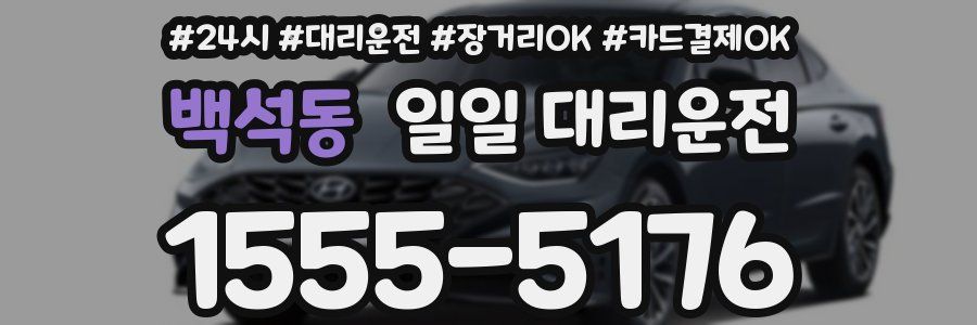 백석동 일일 대리운전