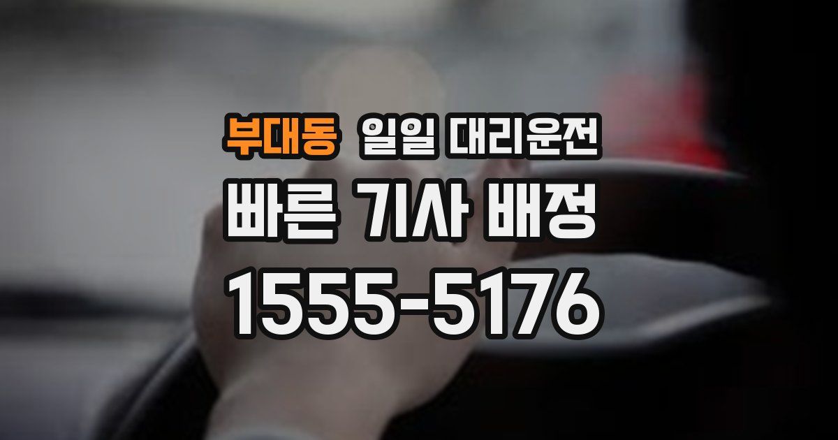 부대동 일일 대리운전