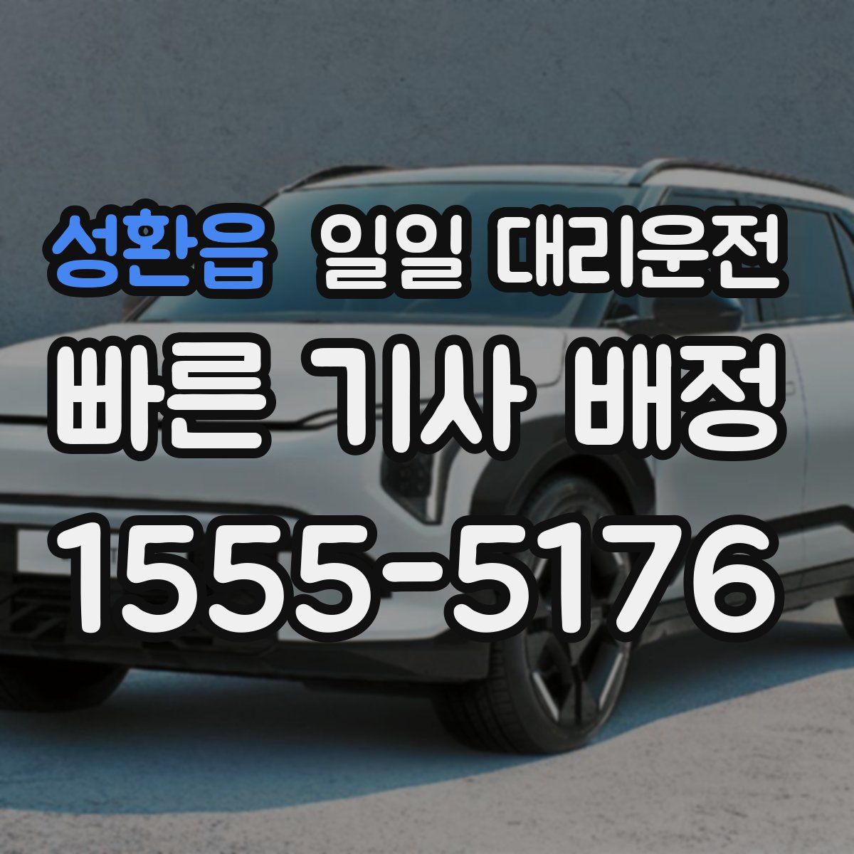 성환읍 일일 대리운전