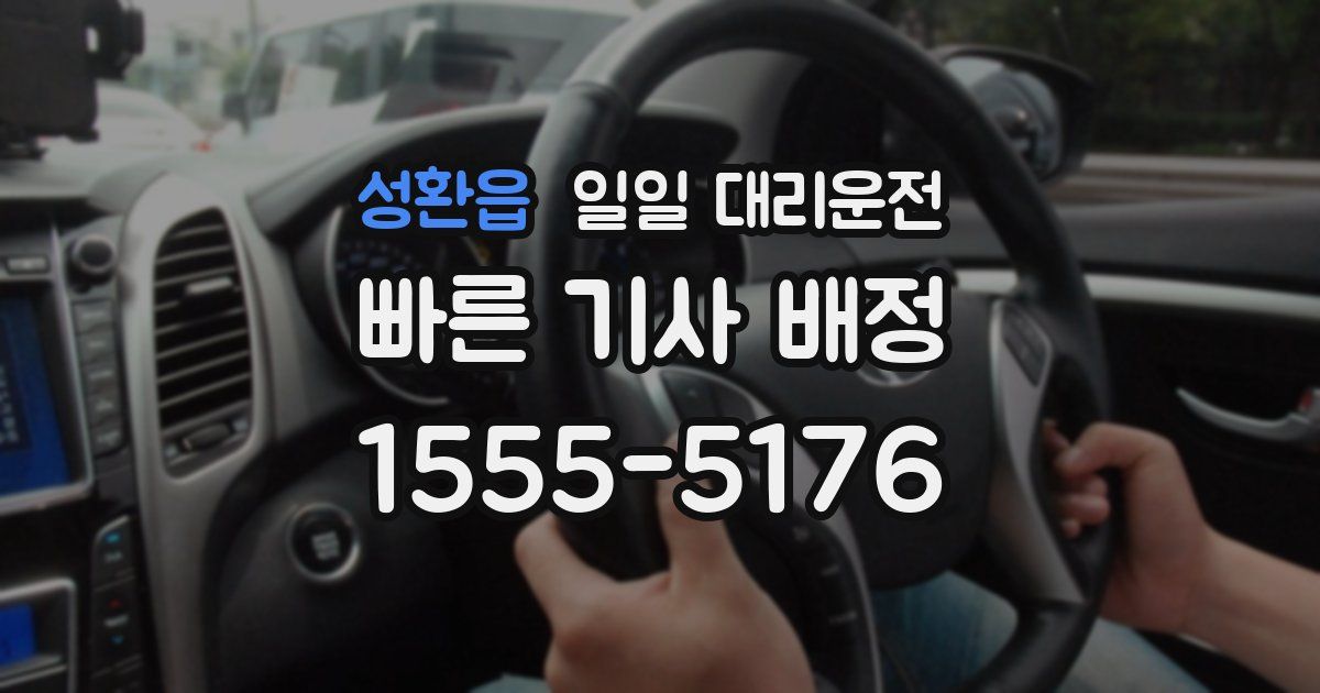 성환읍 일일 대리운전