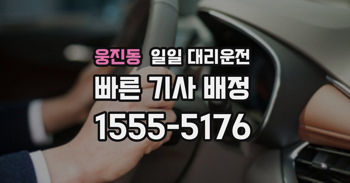 웅진동 일일 대리운전