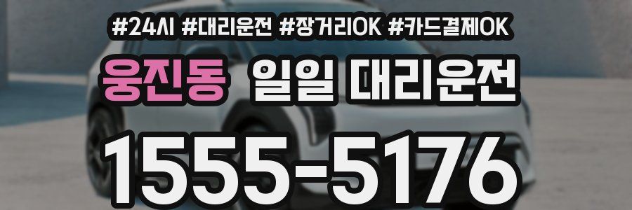 웅진동 일일 대리운전