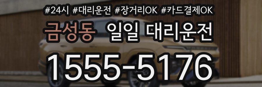 금성동 일일 대리운전
