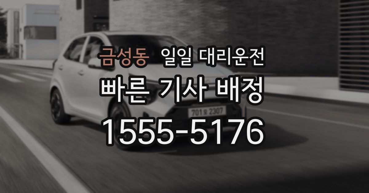 금성동 일일 대리운전