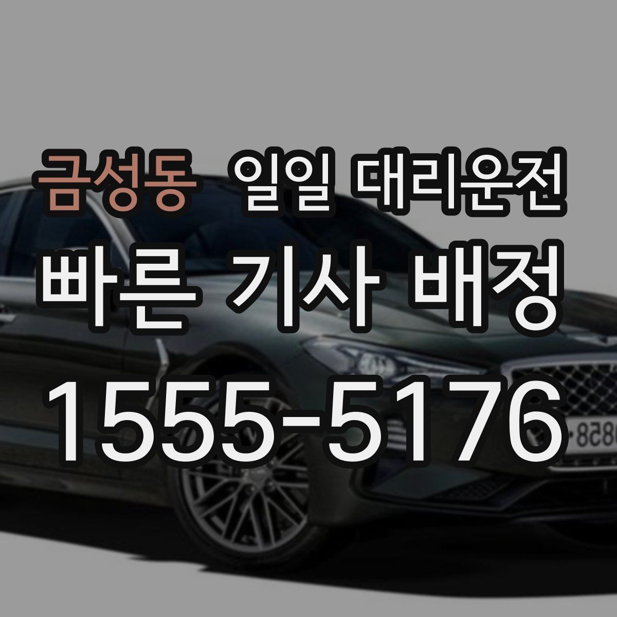 금성동 일일 대리운전
