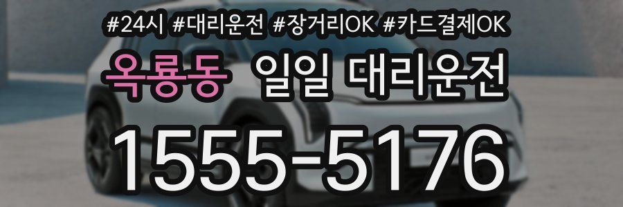 옥룡동 일일 대리운전