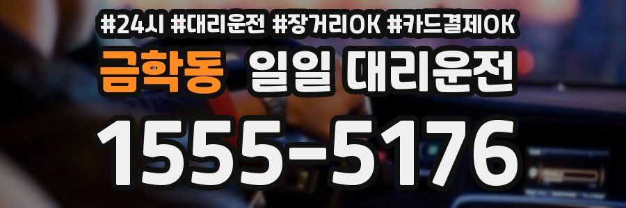 금학동 일일 대리운전