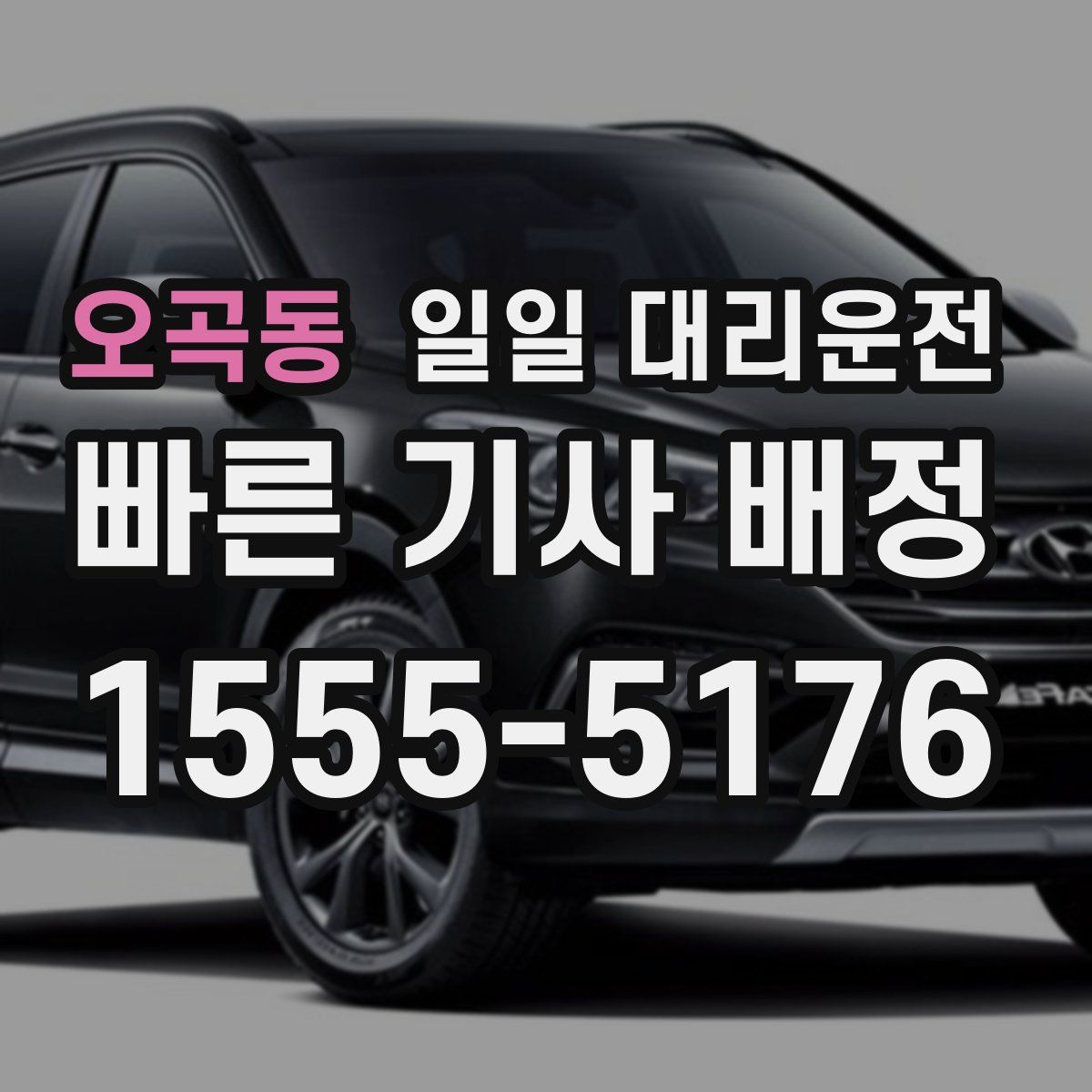 오곡동 일일 대리운전