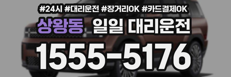 상왕동 일일 대리운전