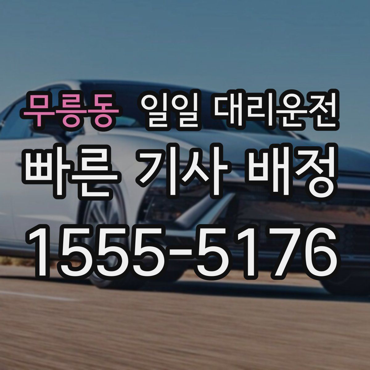 무릉동 일일 대리운전