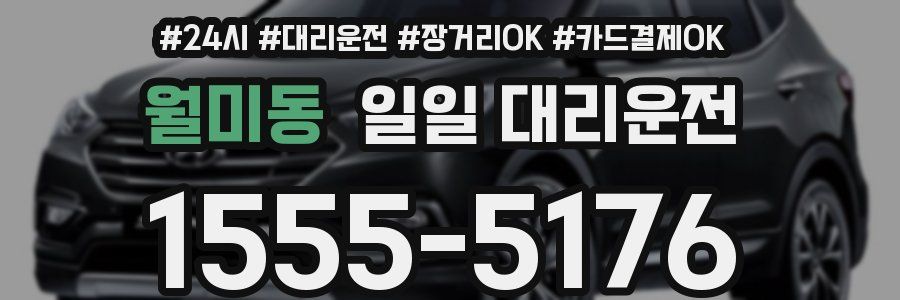 월미동 일일 대리운전