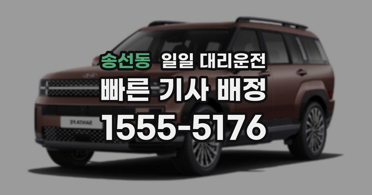 송선동 일일 대리운전