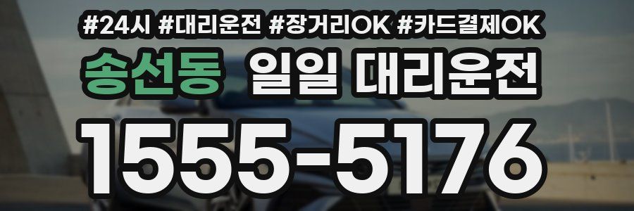 송선동 일일 대리운전
