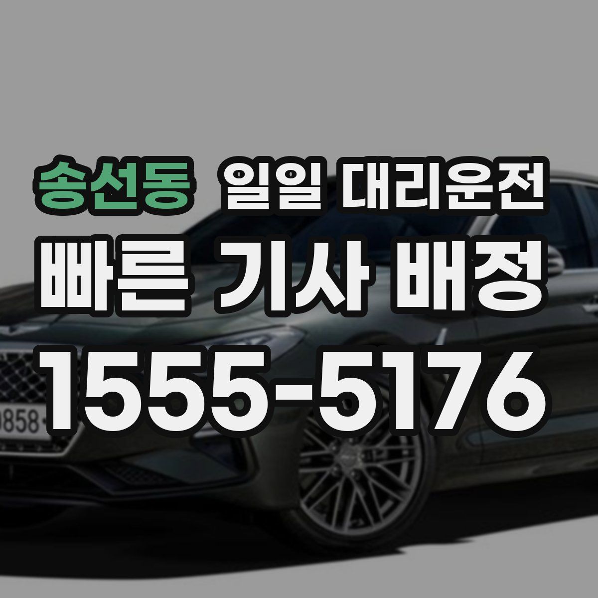 송선동 일일 대리운전