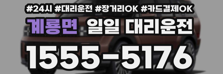 계룡면 일일 대리운전