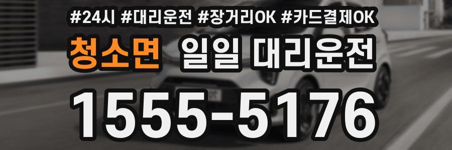 청소면 일일 대리운전