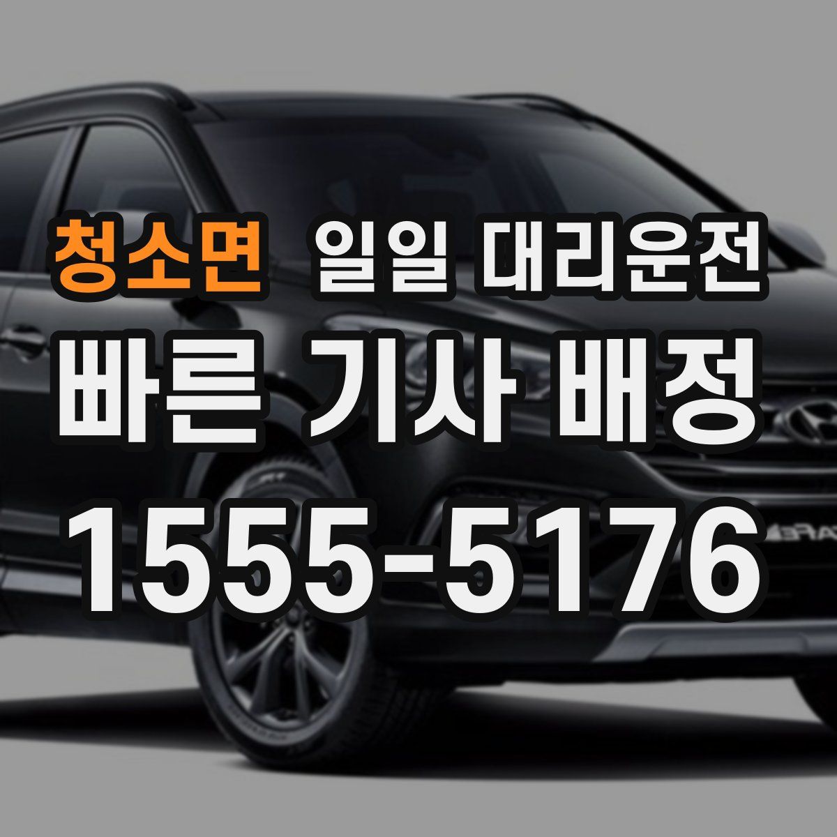 청소면 일일 대리운전