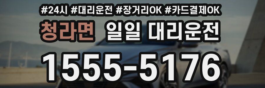 청라면 일일 대리운전