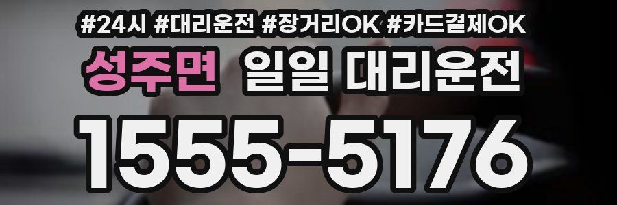 성주면 일일 대리운전