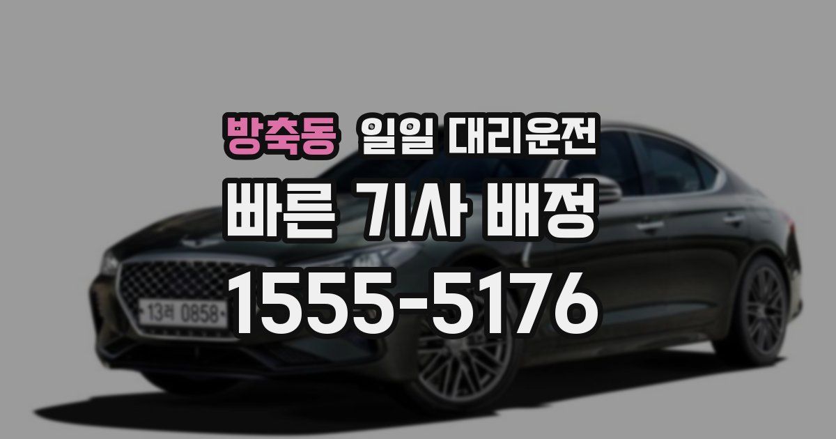 방축동 일일 대리운전