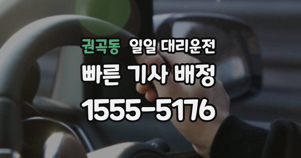 권곡동 일일 대리운전